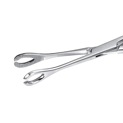 Oval Sponge Piercing Tool Slotted Locking Forcep
